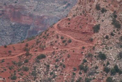 Grand Canyon 2008